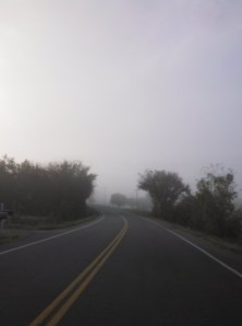 A foggy sunrise along a country road